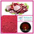 Red Yeast Rice Of Food Grade Coloring With 3000u/g | Natural Food Colorant